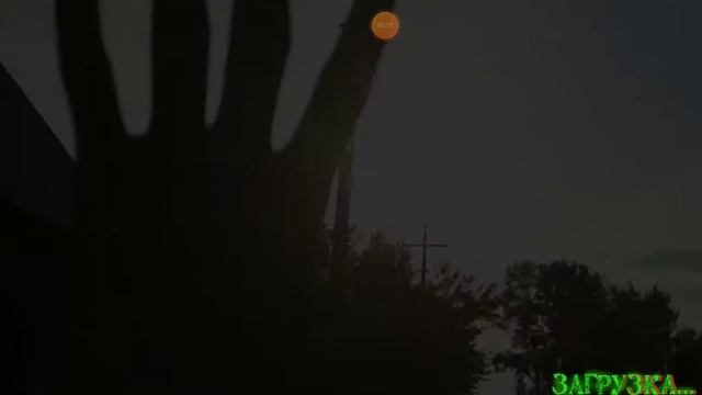 прохождение 5 ночей у ежика ночь 4 Хитрый кот 🐈 2