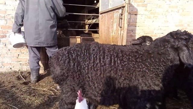 17 апреля 2022 г.