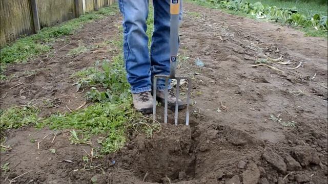 Tutorial Spade Test CAPSELLA