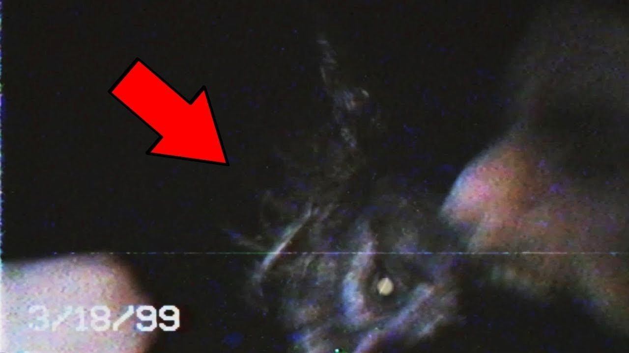 6f513ca288339b293ba56421a31a8387