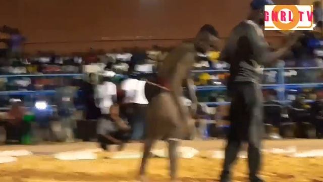 63a6edde14b338cf03973f67478eb7d2