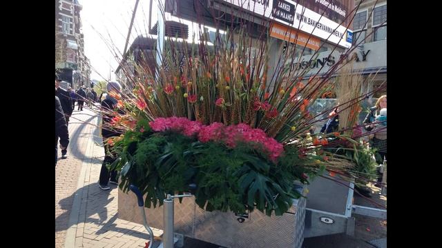 Flower Parade, Holland, April 14, 2019