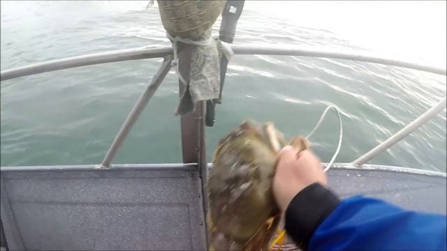 4867e3af348faed82c837d46922b81b4