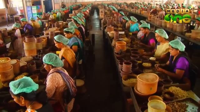 81b42484c2f48df9851d5b236b3f5a14