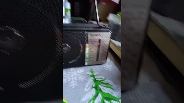 рисуем чирипашек мая петрушка 👍👍👍👍👍👍👍👍👍👍