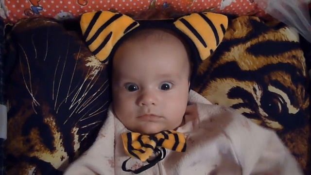 Малыш тигренок