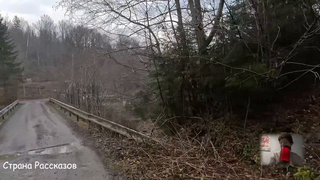 Пустила сестру в дом, чтоб за мужем присмотрела, а вернувшись, обомлела...