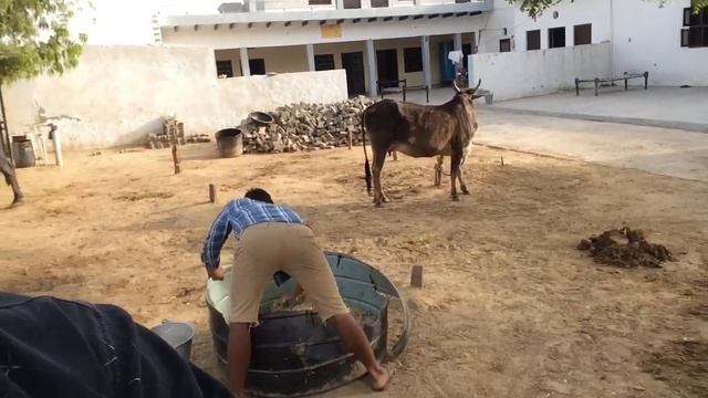 702efd3c3743633bea785ad88dc89ee1