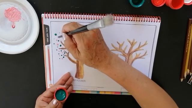 Características  De Las Estaciones Del Año, Para Primero De Primaria