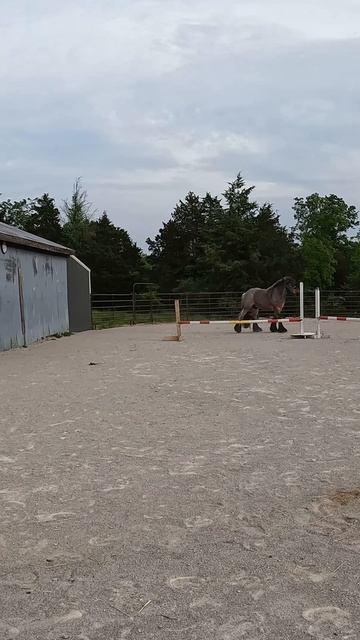 69bc9d13cba3fe0dfa8c0feab8e0cade