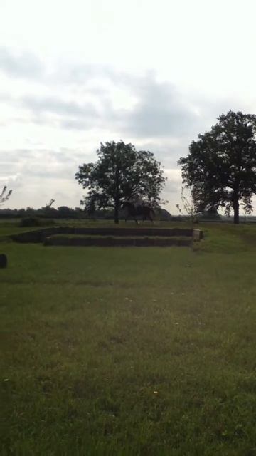 Cross-country On Flo Xxx