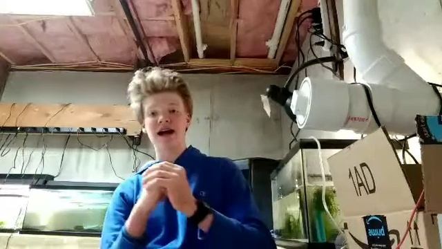 How To Breed For Profit -Part 1