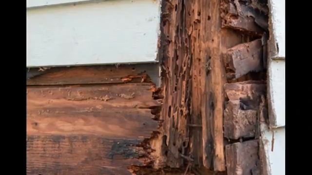 1:26 Arroyo Grande Wood Repair Call Shafran 310-295-1960