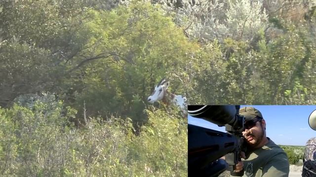 Hunting Exotics In Texas - Oryx Hunting With 6.5mm Grendel Part 1