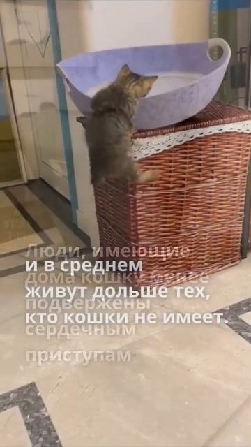 Fe7fd59bdd2002eb99d93004a783b358