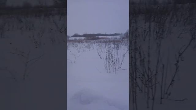 Прогулка по моей деревне.
