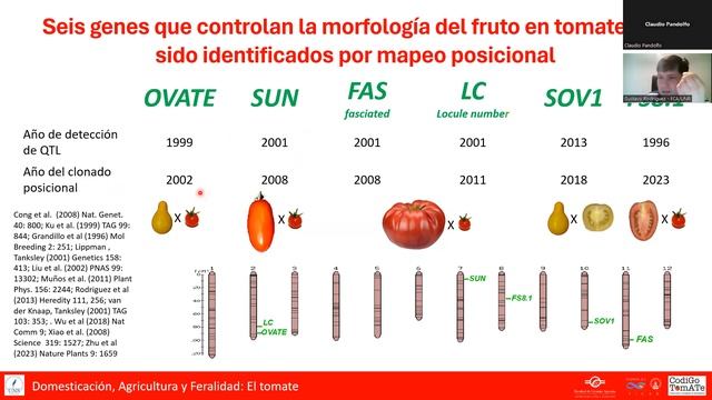 Domesticación Del Tomate I 2024