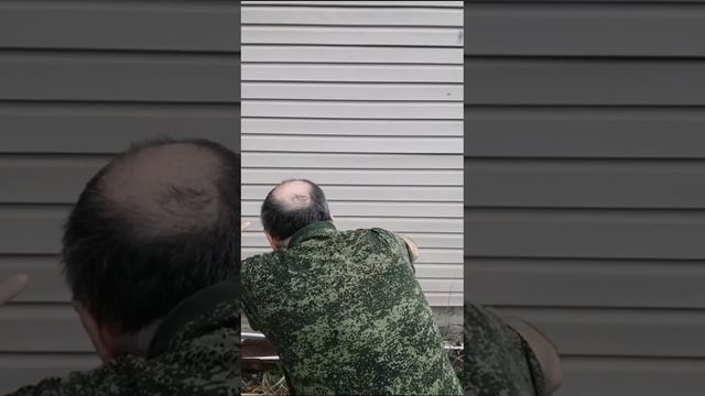 Студенты устали сидеть на лекциях