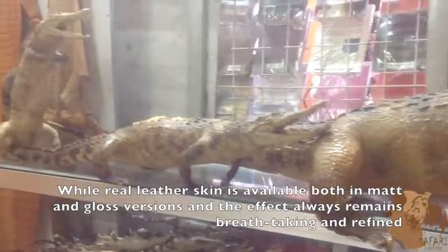 How To Most Accurately Distinguish Between Genuine And Fake Crocodile Leather