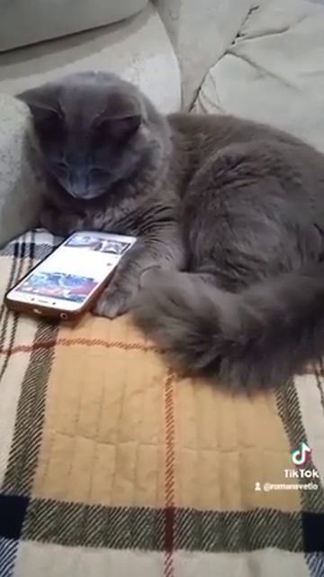 Af1df50d9b4d6ad4f215800c5ab84e8c