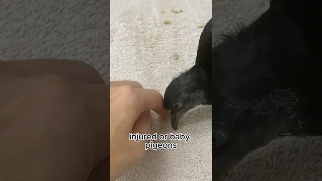 Revealing The Contest: What Keeps Me Busy In 2023?