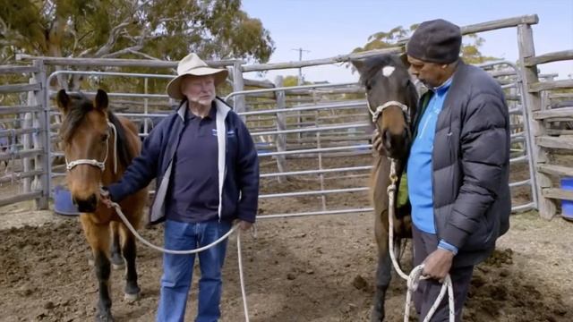 SBS: Going Places With Ernie Dingo - Snowy Wilderness