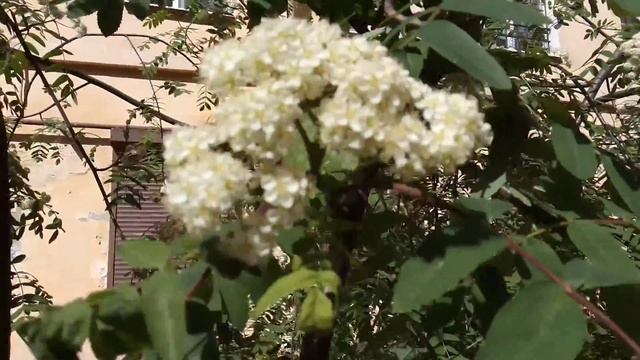 A8070705fd485d0acb66a3892d5a8757