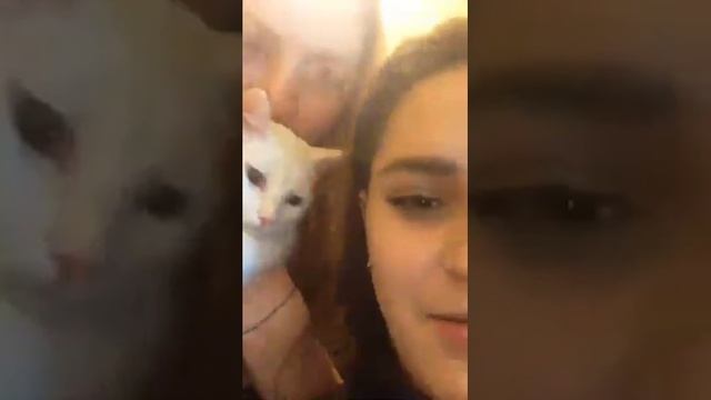 Mihailova999   Очень интересно смотреть всем