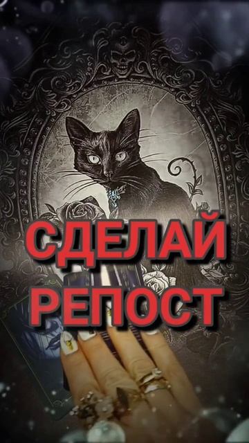 28 ноября 2022 г.