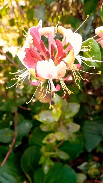 C3600736699d9a19f25b522053fca430