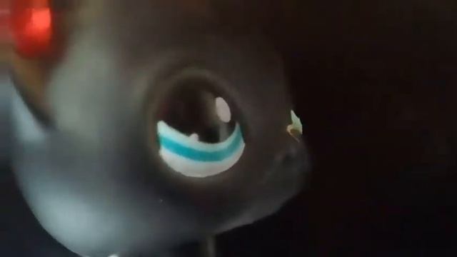 Lps Mv:Тик так на часах....