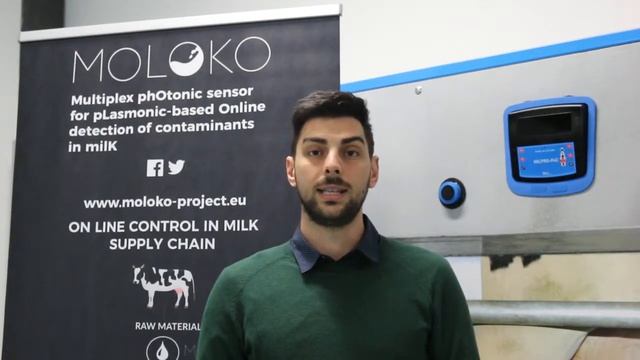 Mario Prosa At MOLOKO M15 Internal Meeting