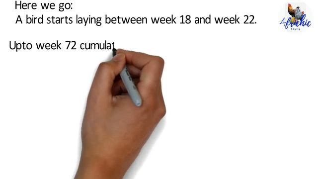 Profit Amount For 500 Layers