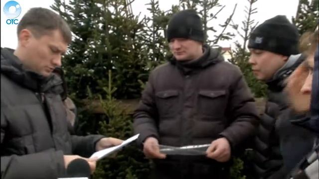 В Новосибирске уже полным ходом идёт торговля елями