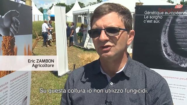 Il Sorgo: Una Coltura Che Non Spreca I Fattori Produttivi.