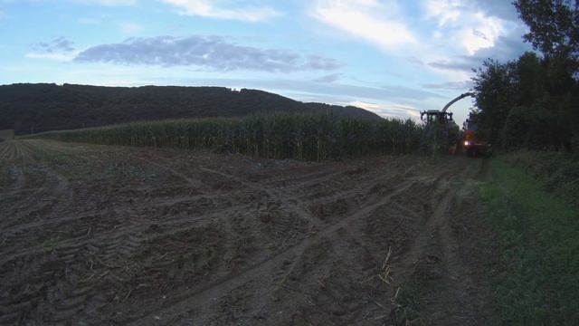 Siláže Vyšný Žipov 2020/ Claas Jaguar 850, John Deere 8330, John Deere 6210R, Tatra 815