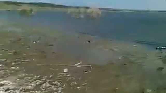 Georgia Marneuli Ribalka Kumisi .flv