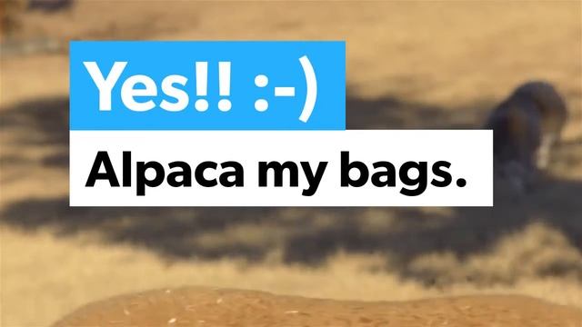 Alpaca My Bags