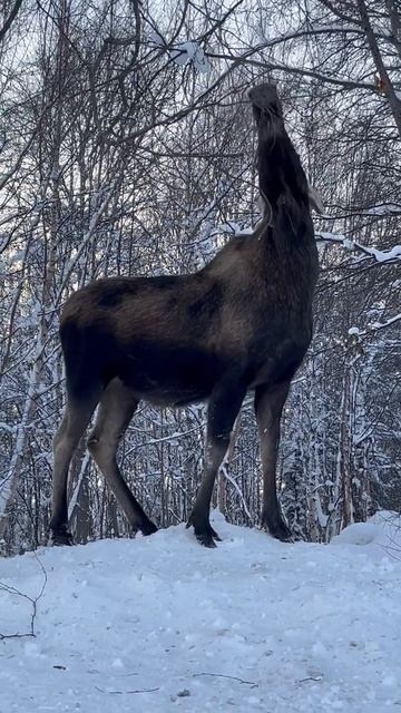 1e39ec8f2143adbb60e43f2c41993ebe