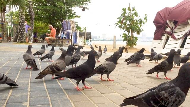 Pattaya Songkran Festival Thailand (Life During The Pandemic)