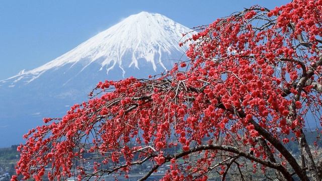 Алина Миллер - Клуб радиопутешественников