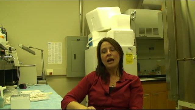 Science before legislation