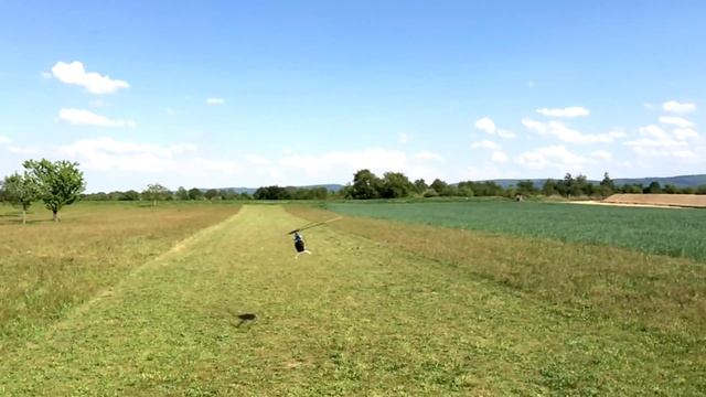 Mikado LOGO 600 SX In Slow Motion