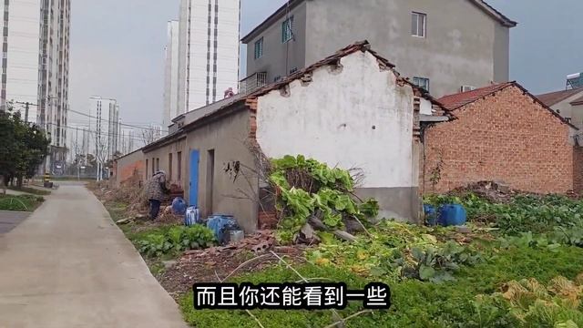 实拍湖北与河南省交界处，一条马路之隔差距很大，真是涨见识了