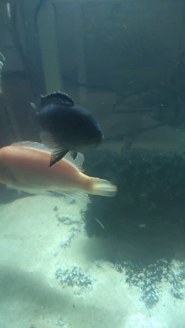 4353871b7bbb31c74fa6e83a295c28e0