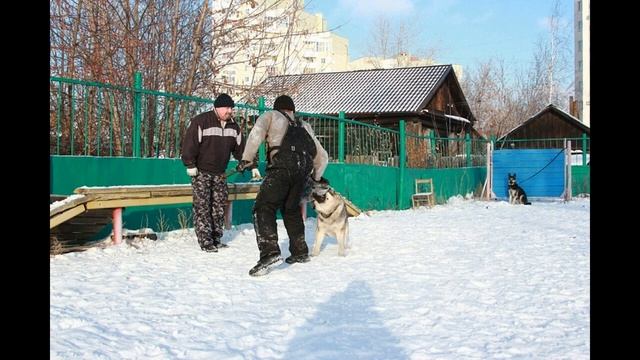 Aea4ffa4162071c9f91116ac3c3298a6