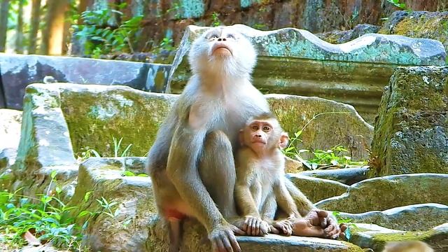 Leo Observes Mum Libby And Tests To Grab Her Nip To Suck, But It To Danger For Him To Get Hurt Agai
