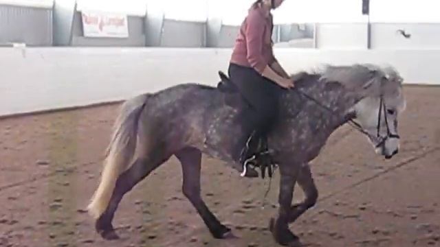 783d34a9167bddac65aa49fe59573496