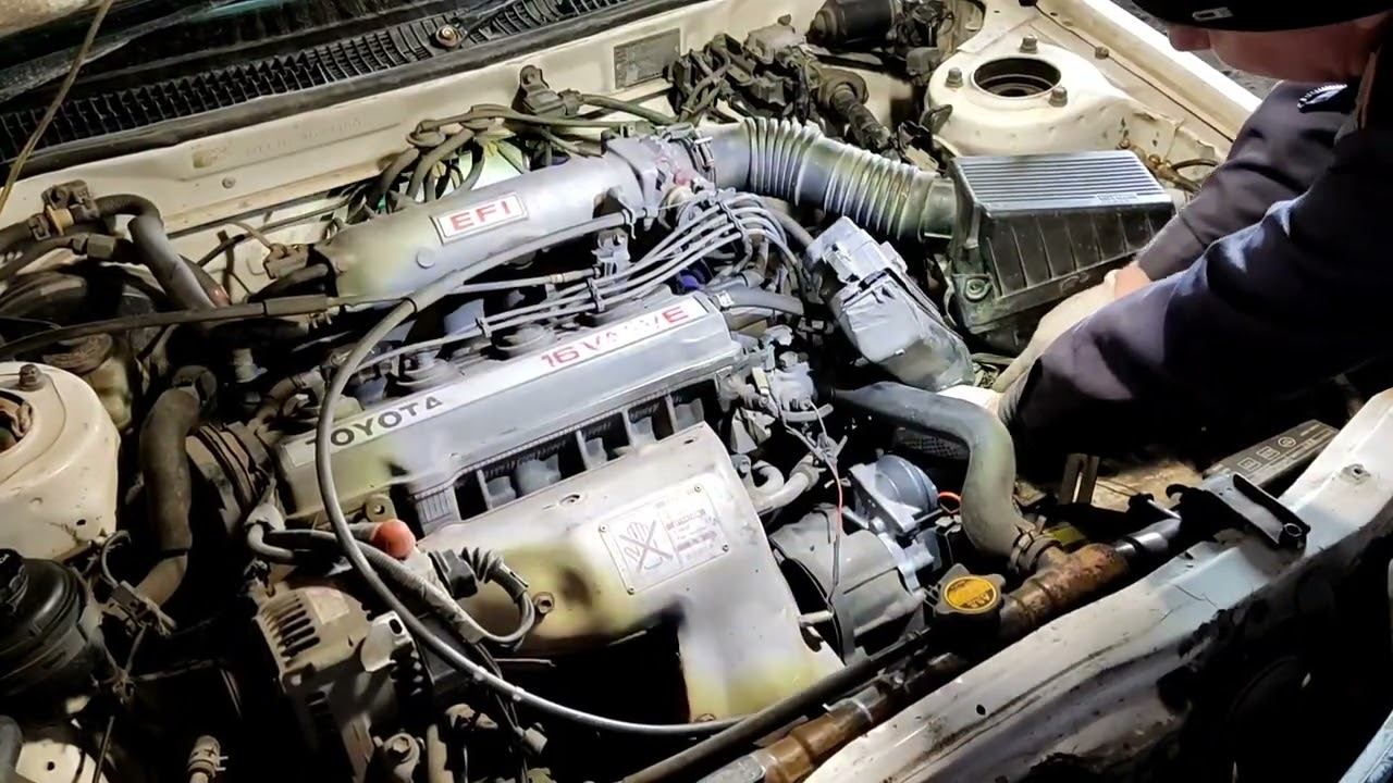 Сам Себе Мастер