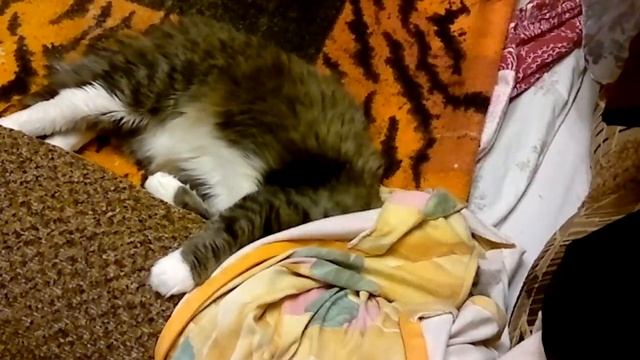 Алиска прётся от халата)))